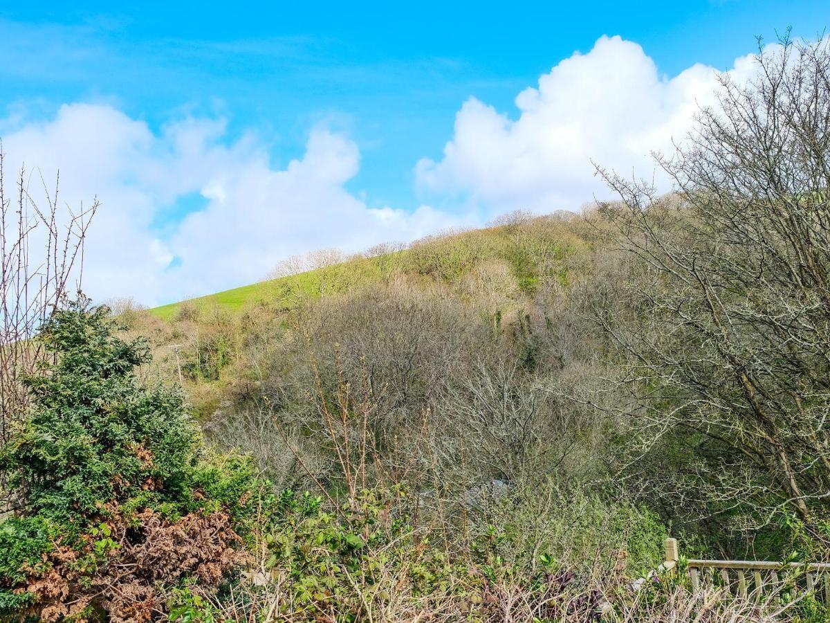 Ivy Cottage - Tq4 Boscastle Exterior foto